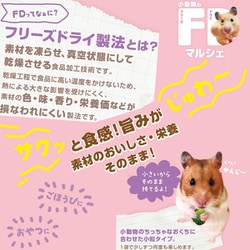ドギーマン 小動物のフリーズドライ マルシェ バナナ 10g 142個セット ヨドバシ.com - ドギーマンハヤシ ミニアニマン 小動物の