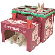 ウサハコ にんじん畑