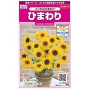ひまわりゴッホのひまわり 1袋