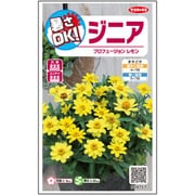 暑さOK！ジニア プロフュージョンレモン 1袋