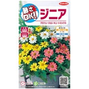 暑さOK ジニア プロフュージョンキュートミックス 約15粒