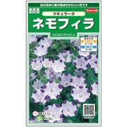 ネモフィラマキュラータ 1袋