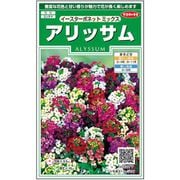アリッサムイースターボネットミックス 1袋