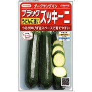 ブラックズッキーニカボチャ 約12粒