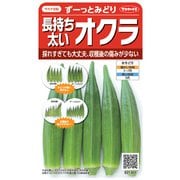長持ち太い オクラ 約40粒