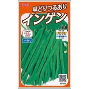 早どりつるありインゲン 王湖 1袋