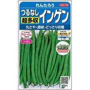 つるなし超多収インゲン れんたろう 1袋