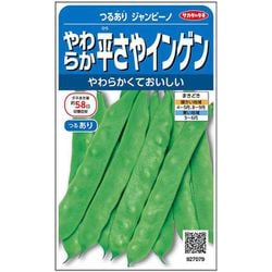 やわらか平さやインゲン つるありジャンビーノ 1袋