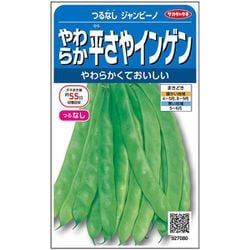 やわらか平さやインゲン つるなしジャンビーノ 1袋
