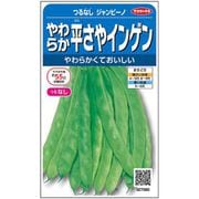 やわらか平さやインゲン つるなしジャンビーノ 1袋