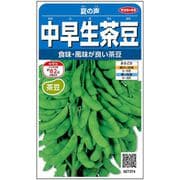 中早生茶豆 夏の声 約35粒