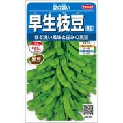 早生枝豆（黒） 夏の装い 約35粒
