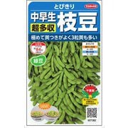 中早生えだまめとびきり 約40粒