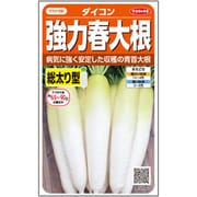 強力春大根 約115粒
