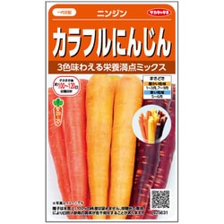 カラフルにんじん 1袋