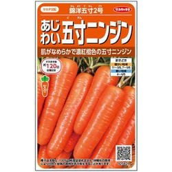 あじわい五寸ニンジン錦洋五寸2号 1袋