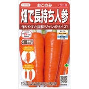 畑で長持ち人参おこのみ 約400粒