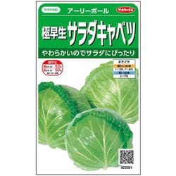 極早生サラダキャベツ アーリーボール 1袋