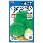 あまうまキャベツ 新藍 1袋