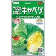 やわらかたけのこキャベツ みさき 1袋