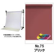 No.75 ブリック 2.72×5.5m BPS-2705 ＃75