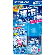 アイスノン 爆冷スプレー せっけんの香り 95mL [衣類用 携帯用 極寒 汗のニオイ消臭 暑さ対策]