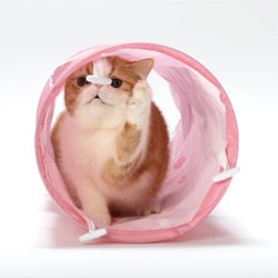 ヨドバシ.com - 猫壱 キャットトンネル ピンク [猫用おもちゃ