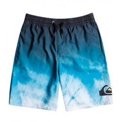 ヨドバシ.com - クイックシルバー Quiksilver EVERYDAY FADED LOGO