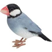 1684 [BIRDIE BILL AGATE JAVA SPARROW]