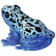 2363 [REPTILES MAG BLUE POISON DART FROG]