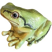 2366 [REPTILES MAG TREE FROG]
