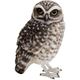 2370 [BIRDIE BILL BURROWING OWL]