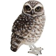 2370 [BIRDIE BILL BURROWING OWL]