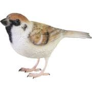 2374 [BIRDIE BILL SPARROW]