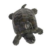 2919 [REPTILES MAG POND TURTLE]