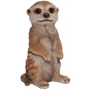 STAMP CASE MEERKAT 57754