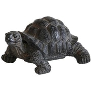 57793 [REPTILES MAG TORTOISE SHAKE]