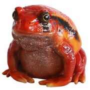 57797 [REPTILES MAG TOMATO FROG]