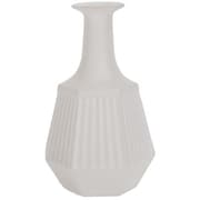 57915 [LUMP SUGAR CANE WHITE]