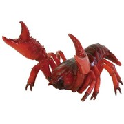 SHELLFISH MAG CRAYFISH 57827