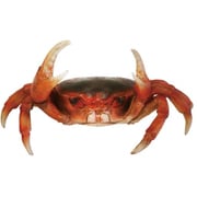 SHELLFISH MAG FRESH WATER CRAB 57828