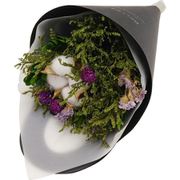 BELLES FLEURS MIGNON BLUE 3043