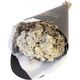 BELLES FLEURS MIGNON DUE ANAPHALIS 3216