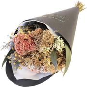 BELLES FLEURS MIGNON DUE CELOSIA 3217