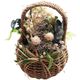 BELLES FLEURS BASKET GREEN 57634