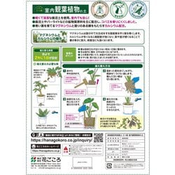 ヨドバシ.com - 花ごころ 三つ星 室内観葉植物の土 5L 通販【全品無料