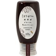 チョコレートハニー チューブボトル 470g