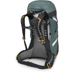 ヨドバシ.com - オスプレー Osprey シラス 36 OS50315 サキュレント