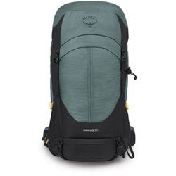 ヨドバシ.com - オスプレー Osprey シラス 36 OS50315 サキュレント