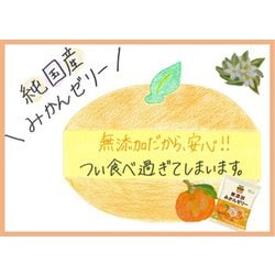 ヨドバシ.com - ノースカラーズ 純国産 無添加 みかんゼリー 11